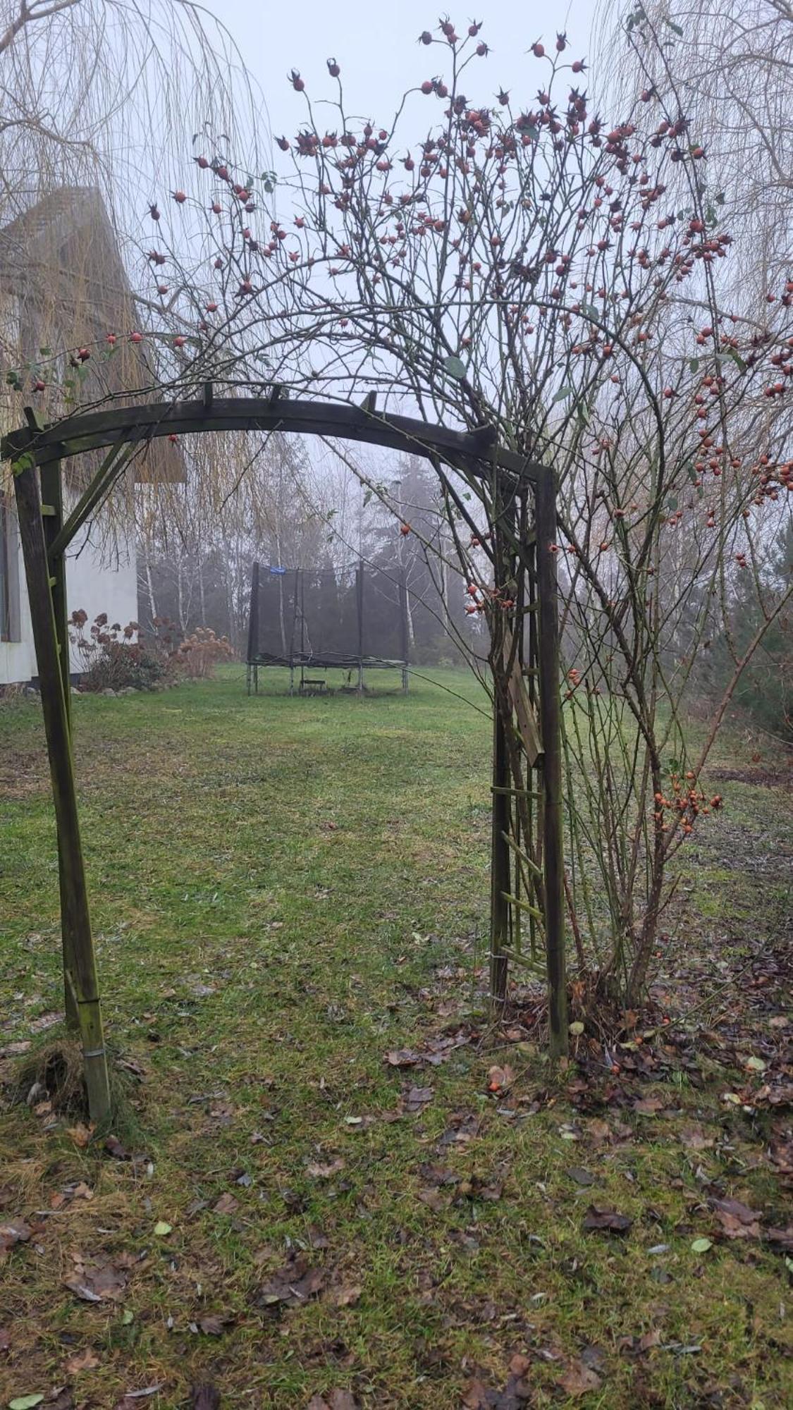 Apartment Pod Toruniem Grebocin (Kuyavian-Pomeranian)